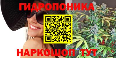 прущие крисы Можга